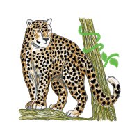 California Spangled Quotes California Spangled Quotes