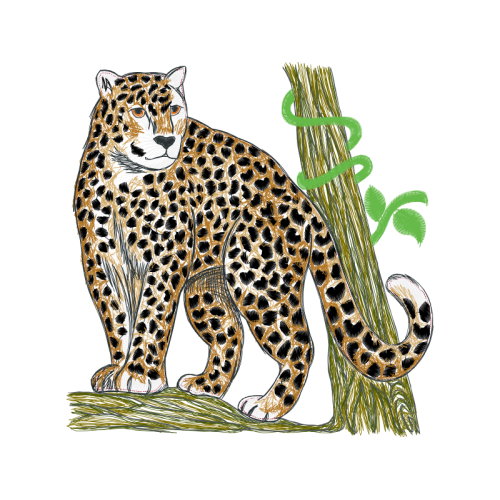 California Spangled Quotes California Spangled Quotes