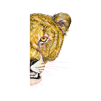 Cat Quotes Cat Quotes