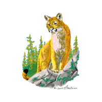 Cat Quotes Cat Quotes