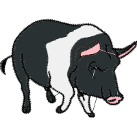 Cat Quotes Cat Quotes