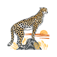 Cheetah Quotes Cheetah Quotes