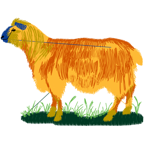 Chicken Quotes Chicken Quotes