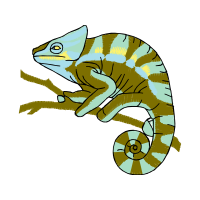 Common Chameleon Quotes