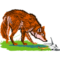 Coyote Quotes Coyote Quotes