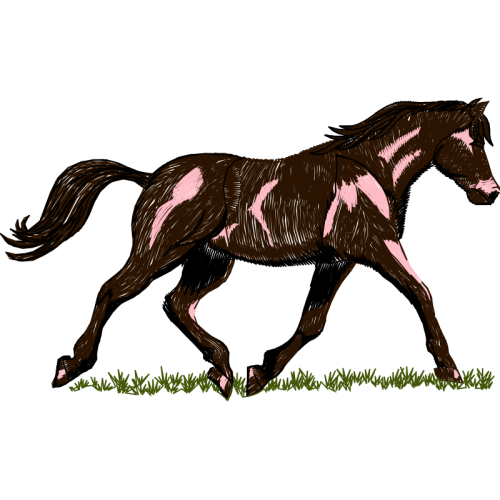 Criollo Quotes Criollo Quotes