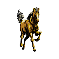 Criollo Quotes Criollo Quotes