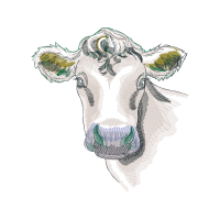 Dairy Cattle Quotes Dairy Cattle Quotes