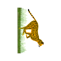 Diamond Blade Quotes