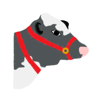 Dog Quotes Dog Quotes