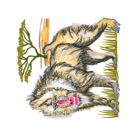 Dog Quotes Dog Quotes