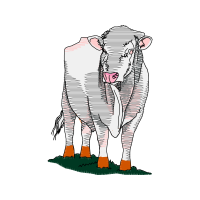 Dog Quotes Dog Quotes