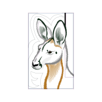 Domestic Rabbit Quotes