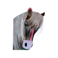 Domestic Turkey Quotes