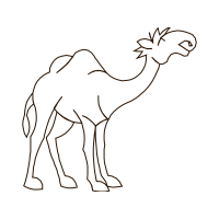 Dromedary Quotes Dromedary Quotes