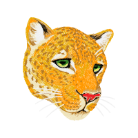 European Shorthair Quotes