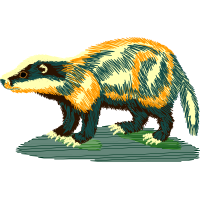 Ferret Quotes Ferret Quotes