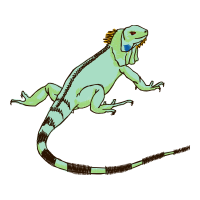 Green Iguana Quotes