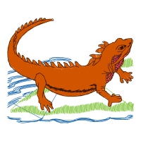 Green Iguana Quotes