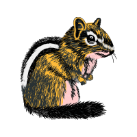 Hamster Quotes Hamster Quotes