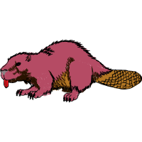 Illustration Quotes Illustration Quotes