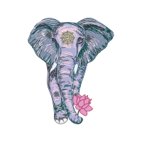 Indian Elephant Quotes