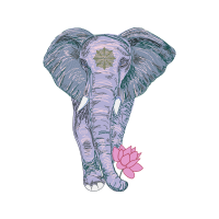 Indian Elephant Quotes