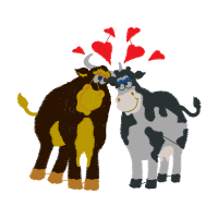 Indian Elephant Quotes