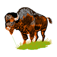 Indian Elephant Quotes