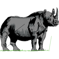 Indian Rhinoceros Quotes
