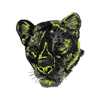 Leopard Quotes Leopard Quotes