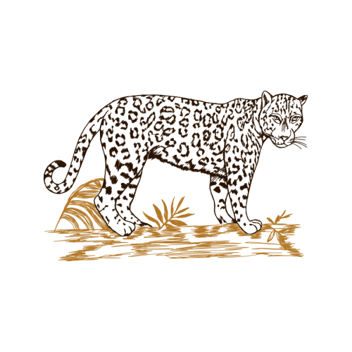 Line Art Quotes Line Art Quotes