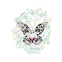 Line Art Quotes Line Art Quotes