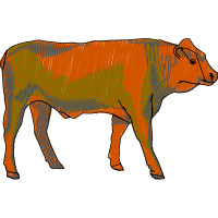 Lion Quotes Lion Quotes