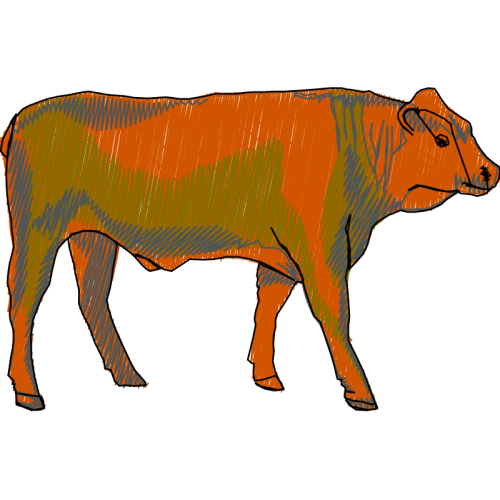 Lion Quotes Lion Quotes