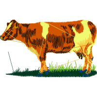 Lion Quotes Lion Quotes