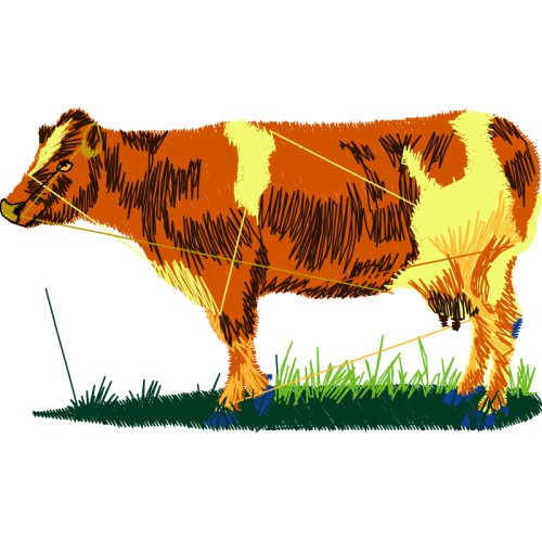 Lion Quotes Lion Quotes