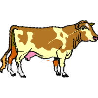 Lion Quotes Lion Quotes