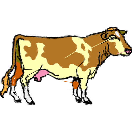 Lion Quotes Lion Quotes