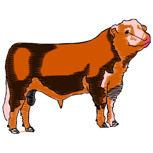 Lion Quotes Lion Quotes