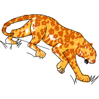 Lion Quotes Lion Quotes