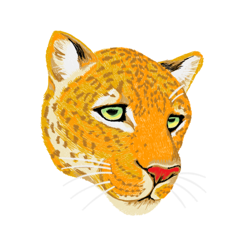 Lion Quotes Lion Quotes