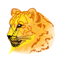 Lion Quotes Lion Quotes