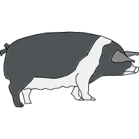 Mammal Quotes Mammal Quotes