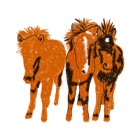 Mammoth Mountain Ski Area Quotes