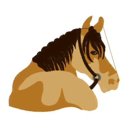 Miniature Bull Terrier Quotes Miniature Bull Terrier Quotes