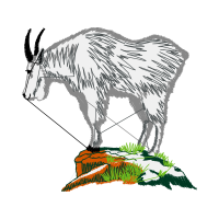 Mountain Goat Quotes