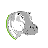 Mustang Quotes Mustang Quotes