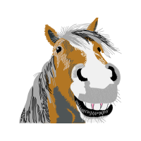 Mustang Quotes Mustang Quotes