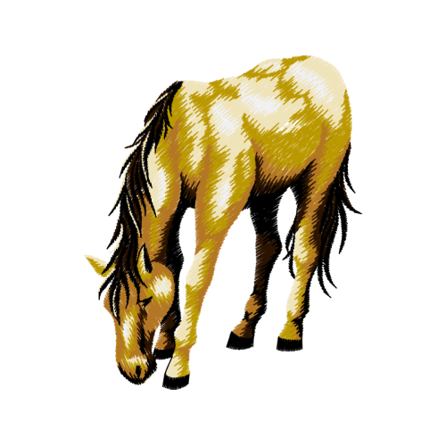 Mustang Quotes Mustang Quotes